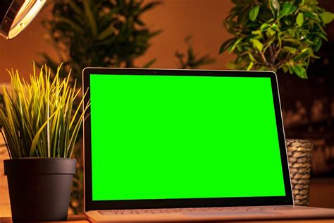 Computer Side Greenscreen 的图像结果