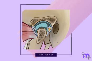 Comprehensive Overview of TMJ Disorders – Medi Study Go