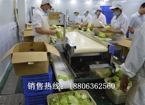 中央厨房净菜生产线 中央工厂蔬菜加工设备全套供应商-阿里巴巴