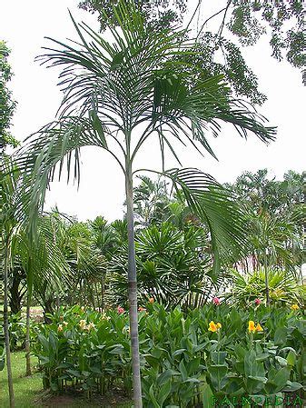 Image result for Greenhouse Automation Using Arduino