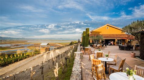 THE 5 BEST Downtown Hotels in Sonoma (with Prices) - Tripadvisor