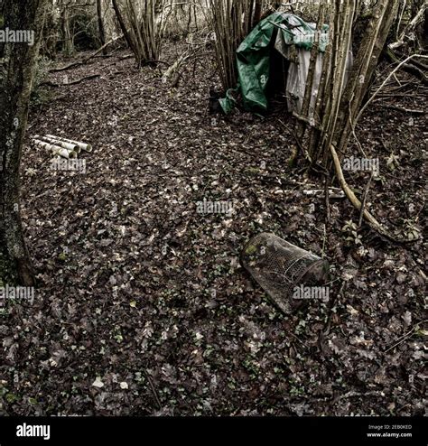 Makeshift dwelling in woods revealed after leaf fall Stock Photo - Alamy