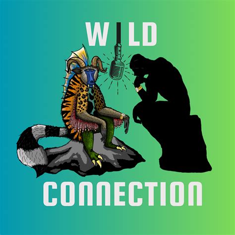 Killer Whales with Hanne Strager | Wild Connection