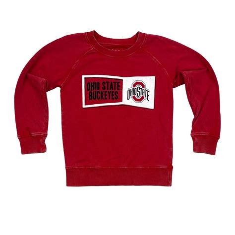 Ohio State Buckeyes Youth Faded Fleece Raglan - Wesandwilly