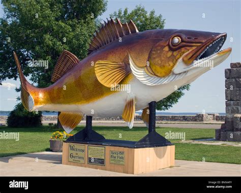 Garrison, Minnesota proudly claims the title of “Walleye Capital of the World” with a giant ...