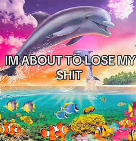 Pin by Kay on Art for Inspiration | Really funny pictures, Dolphin ...