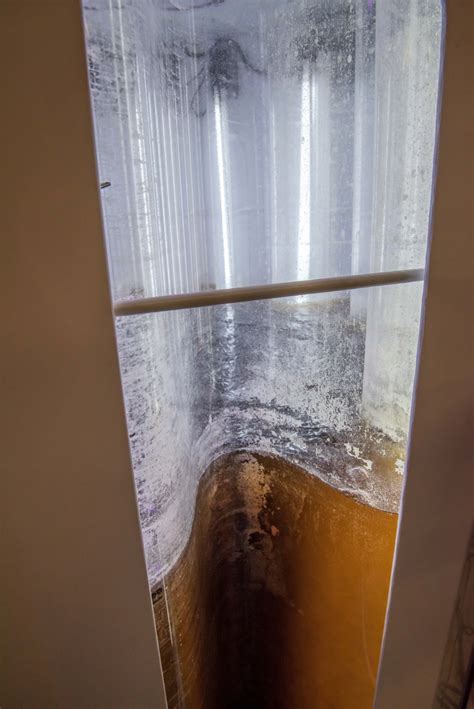 Plankton reactor for growing brown algae | FWS.gov