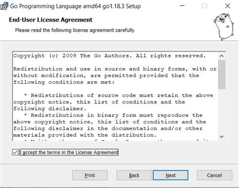 Go Programming Language Download 的图像结果