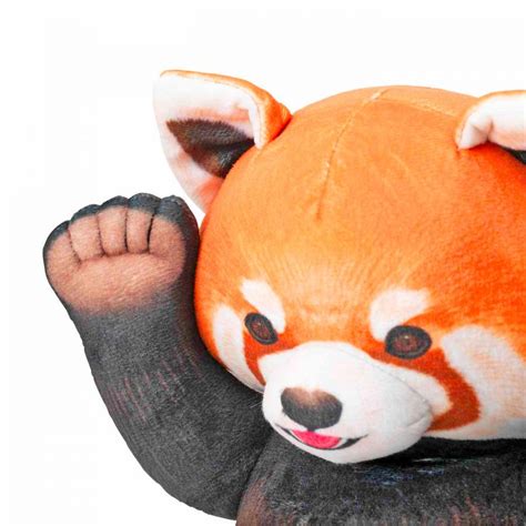 Image result for Red Panda Cuddle