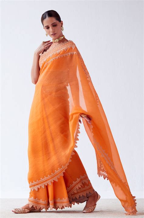 Devnaagri - Orange Organza and Georgette Saree