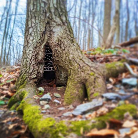 Gallery | Allison Tyler Soucy