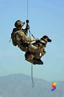 Define Hoist, Hoist Meaning, Hoist Examples, Hoist Synonyms, Hoist ...