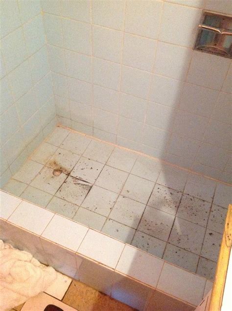 COTTON TREE PLACE (Negril) - Hotel Reviews & Photos - Tripadvisor