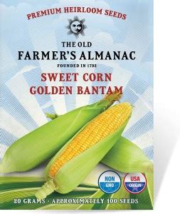 VibeX ® RXI-41 Heirloom Sweet Corn Seeds (Golden Bantam) Seed Price in ...