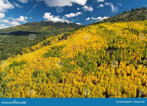 First Snowfall of the Season on the San Francisco Peaks, Arizona Stock ...