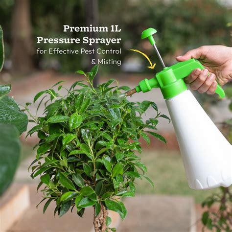 Premium Gardening Kit – Ugaoo