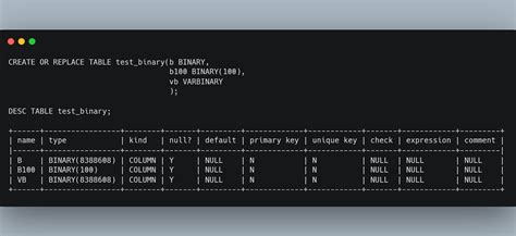 Snowflake Data Types 的图像结果