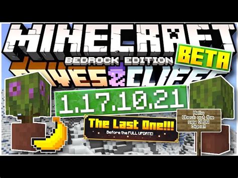 Image result for Minecraft Java 1.17.10 Download