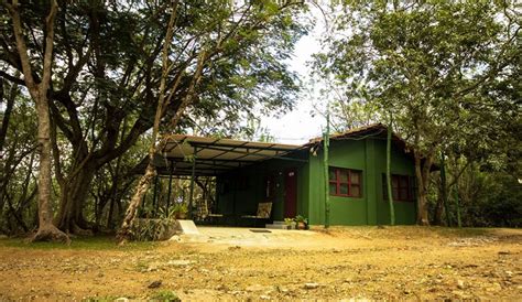 Guest House in Mudumalai | Family Stay in Masinagudi