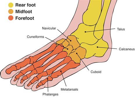 Why Does the Top of My Foot Hurt? - Watsonia Podiatry