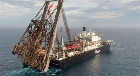 longest 的图像结果