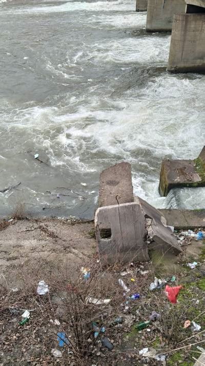 Plastic Bottles - Dataset Ninja