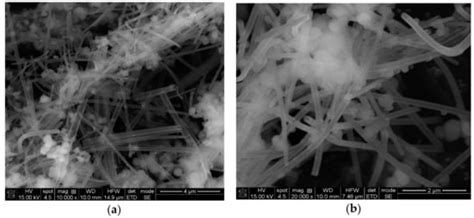 Tubular and Spherical SiO2 Obtained by Sol Gel Method for Lipase ...