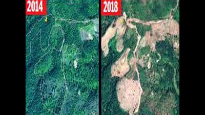 1,600 acres of forest cut in key south Konkan wildlife corridor ...