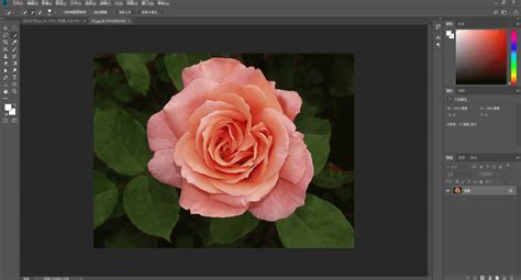 花朵字，用PS制作浪漫唯美的玫瑰花文字(4) - 普通字效 - PS教程自学网