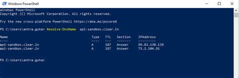 How to check DNS resolution? - ClearTax Docs