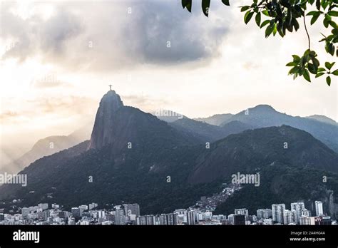 Brazil View 的图像结果