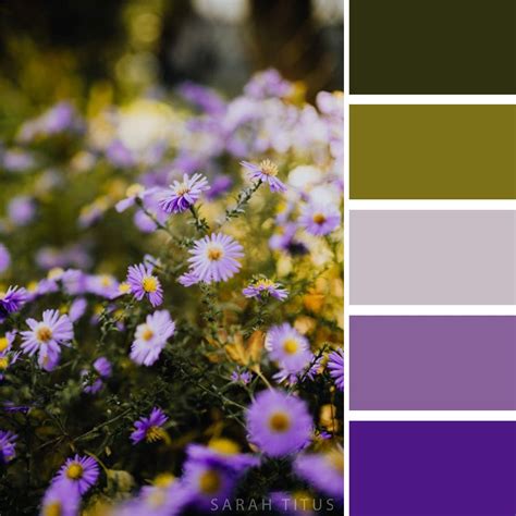 FlowerColor 的图像结果