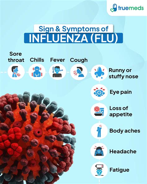 Influenza: Symptoms, Causes, Treatment, and Prevention Guide
