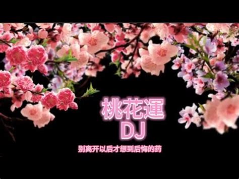 2024 Hits Dance 3rd MV 🌸桃花运🌸 - YouTube