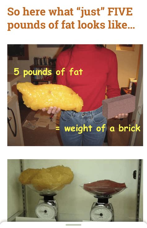 Five Pounds of Fat = Weight of Brick. IF method helped me lose a brick ...
