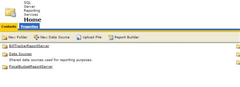 SSRS 2012 Tutorial 的图像结果