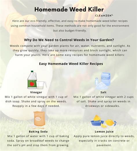 Homemade Weed Killer - Cleanzen