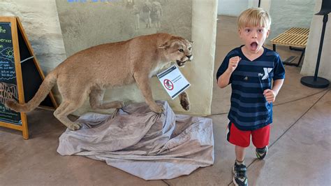 Los Angeles & Santa Monica Mountains - Dad Can Travel