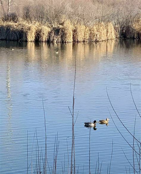 Hyatt Hidden Lakes Reserve Loop - Idaho | AllTrails