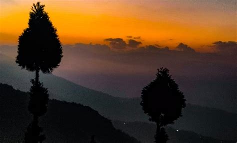 HOTEL SILENT DRAGON (Sonada) - Hotel Reviews, Photos, Rate Comparison ...