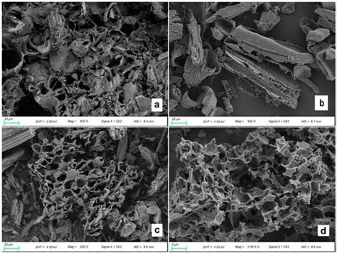 CO2 Adsorption by Bamboo Biochars Obtained via a Salt-Assisted ...