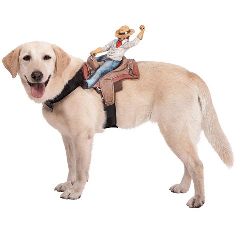 Disfraces para perros. Disfraz para perros con jinetes | Cowboy dog ...