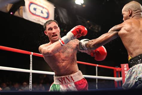 Boxing Victory 的图像结果