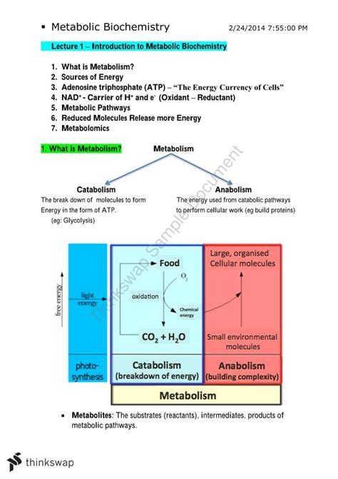 Biochemistry 的图像结果
