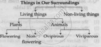 Read the following passage carefully and draw a tree diagram to show ...