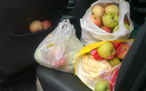 Mumbai Is Most Forgetful: From Artificial Teeth To Mangoes, Here's What ...