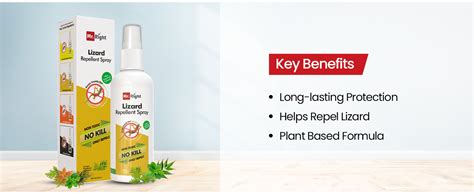 Mr. Right Herbal Lizard Repellent Spray (100 ml), Natural and easy way ...