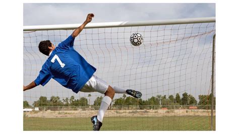 Goal Soccer Goals: Complete Guide to Mini 7 Nets