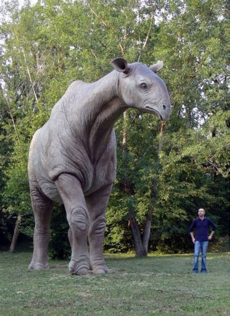 Paraceratherium, an extinct browsing ungulate related to modern rhinos ...