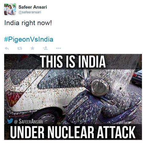 Spy Versus Spy: Of Pakistani Pigeons And Indian Drones